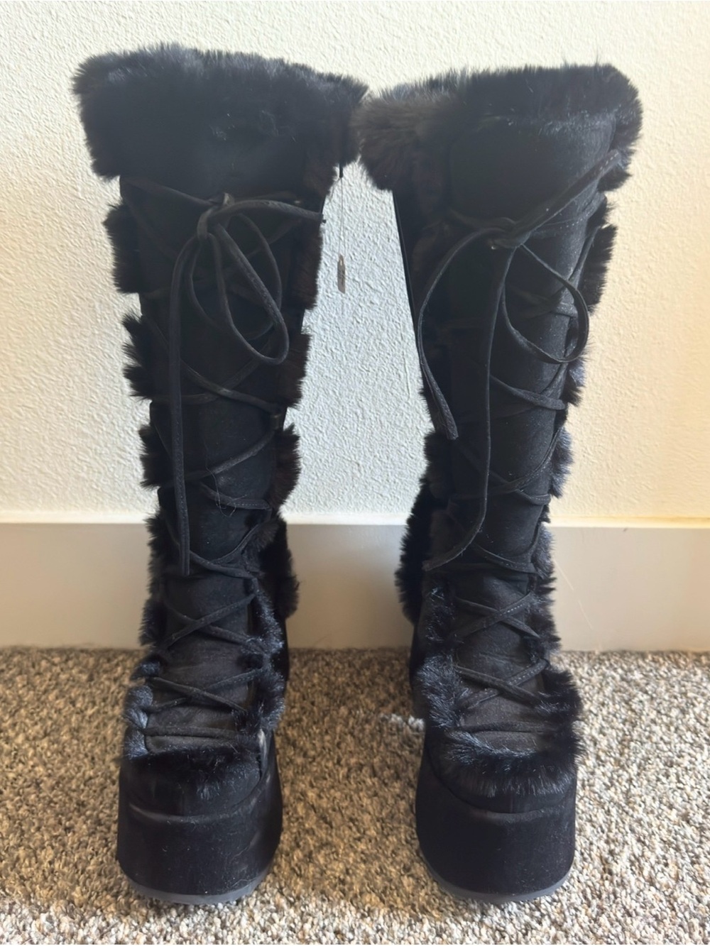 Demonia Camel 311